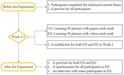 English Phrase Learning With Multimodal Input